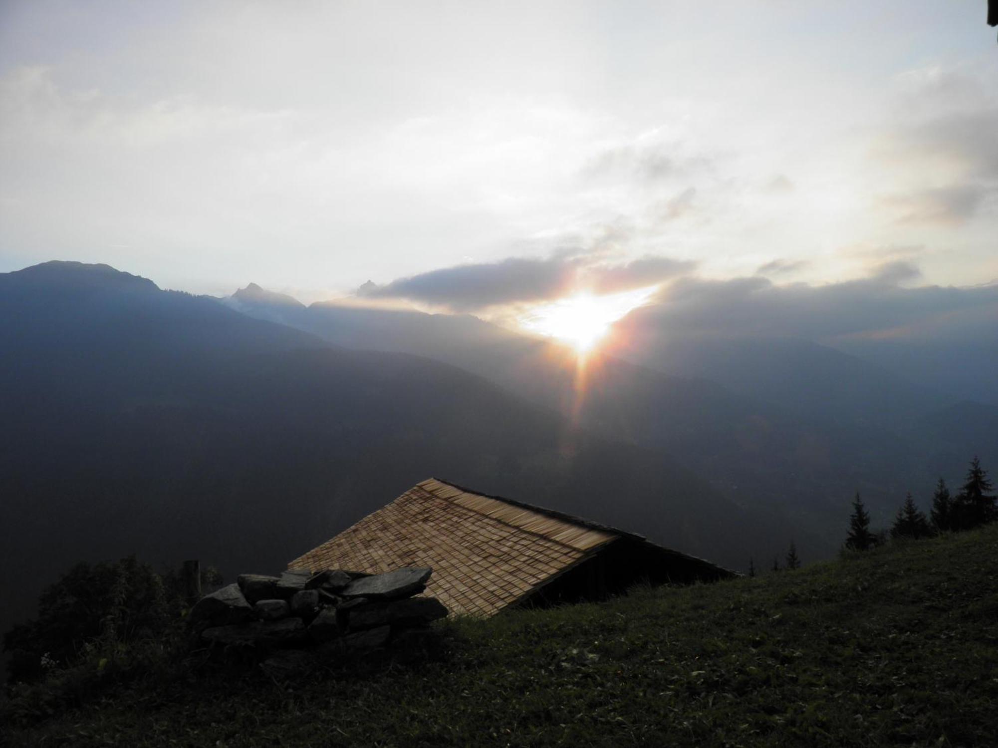 Aktiv & Alpenrose Hotel Schruns