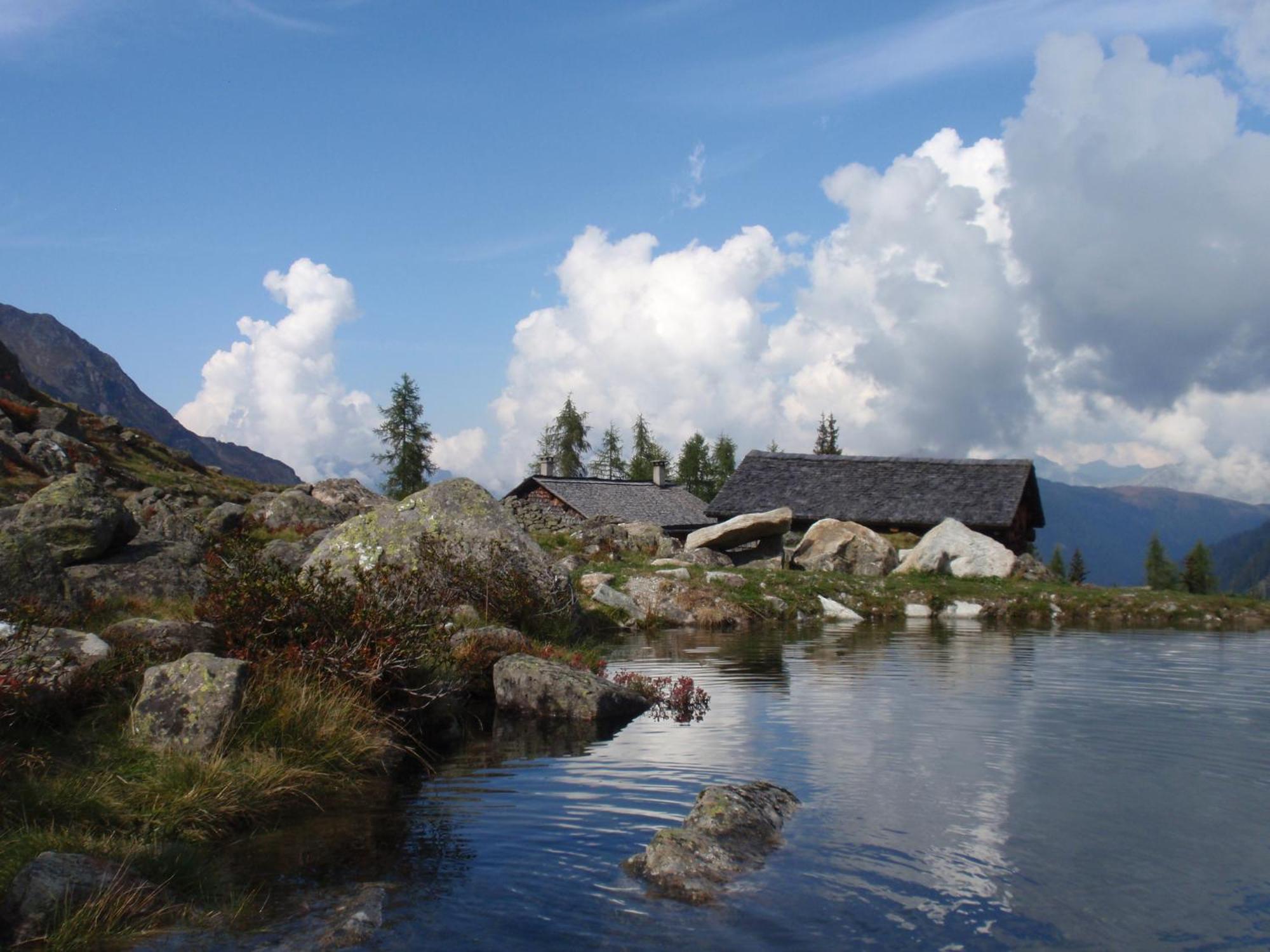 Hotel Aktiv & Alpenrose 4*